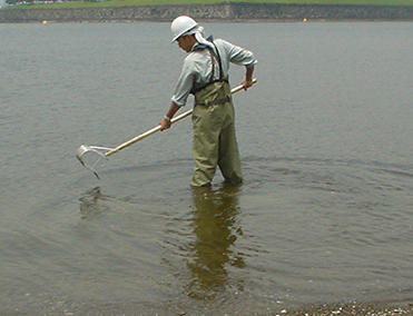 水底土砂